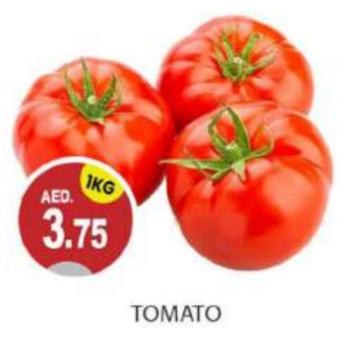  Tomato  in TALAL MARKET in UAE - Abu Dhabi