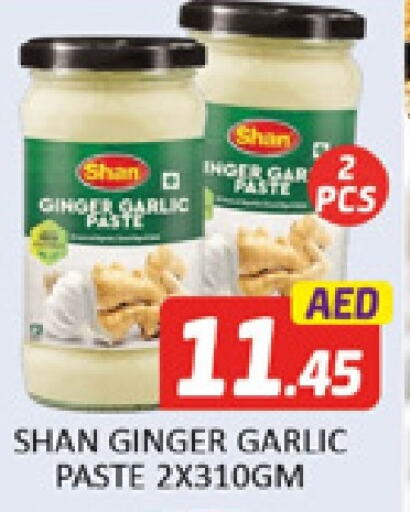 SHAN Garlic Paste  in Al Madina  in UAE - Dubai