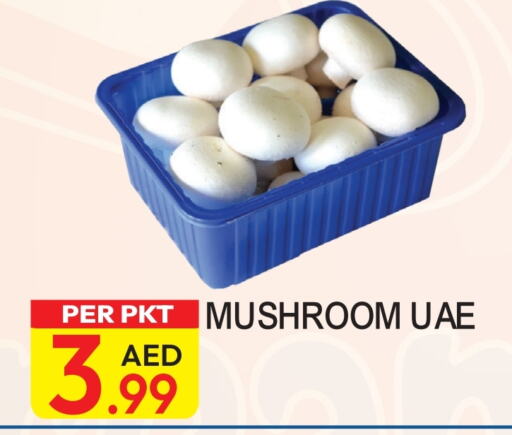  Mushroom  in Dream Land in UAE - Dubai