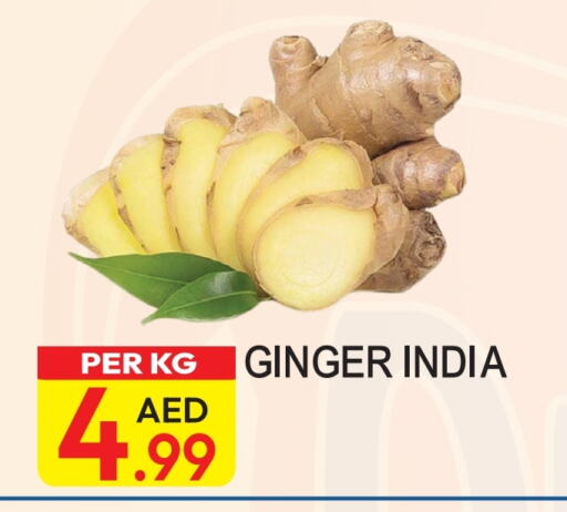  Ginger  in Dream Land in UAE - Dubai