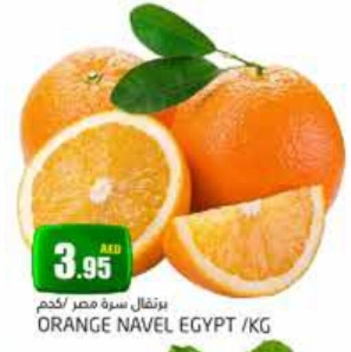  Orange  in PASONS GROUP in UAE - Dubai