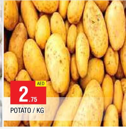  Potato  in AL MADINA in UAE - Sharjah / Ajman