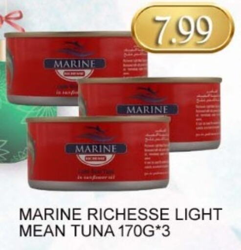  Tuna - Canned  in Majestic Supermarket in UAE - Abu Dhabi