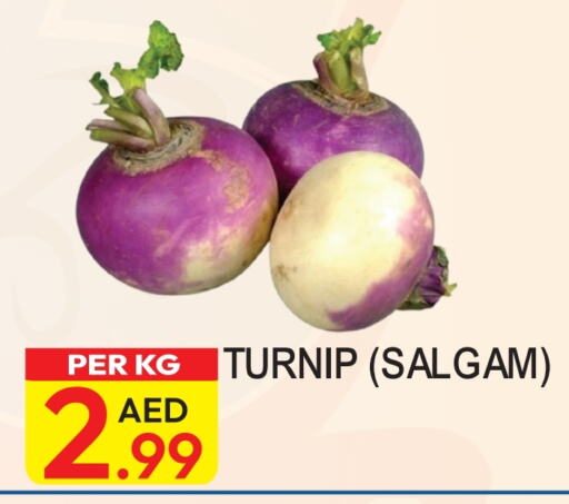  Turnip  in Dream Land in UAE - Dubai