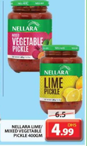 NELLARA Pickle  in Grand Hyper Market in UAE - Dubai