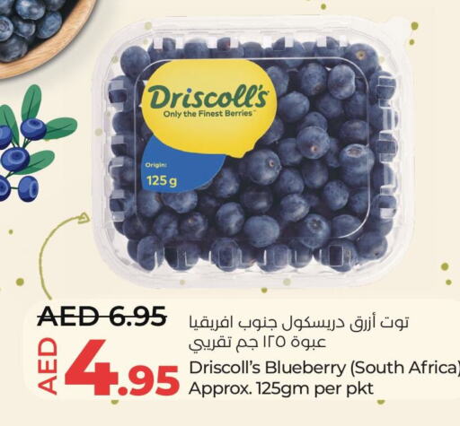  Berries  in Lulu Hypermarket in UAE - Ras al Khaimah