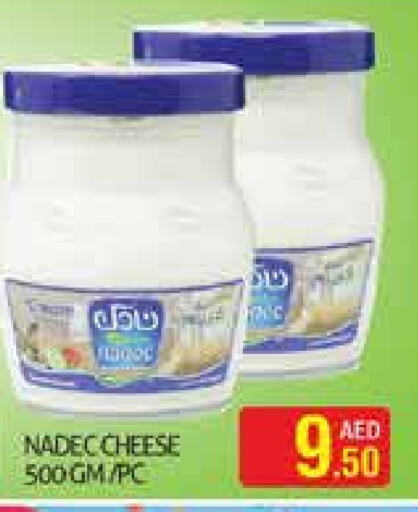 NADEC   in Palm Hypermarket Muhaisina LLC in UAE - Dubai