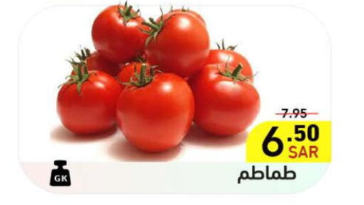  Tomato  in Aswaq Ramez in KSA, Saudi Arabia, Saudi - Hafar Al Batin