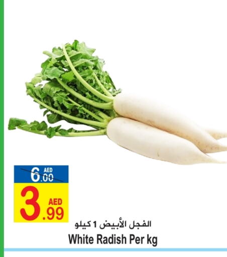  Radish  in Sun and Sand Hypermarket in UAE - Ras al Khaimah