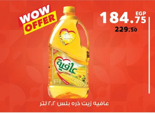 AFIA Corn Oil  in Panda  in Egypt - Cairo