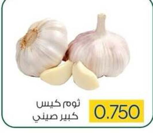  Garlic  in Sabah Al Salem Co op in Kuwait - Ahmadi Governorate