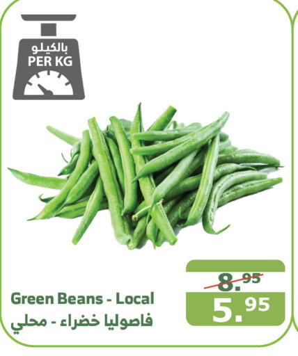  Beans  in Al Raya in KSA, Saudi Arabia, Saudi - Jeddah