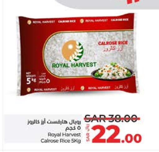  Calrose Rice  in LULU Hypermarket in KSA, Saudi Arabia, Saudi - Jeddah