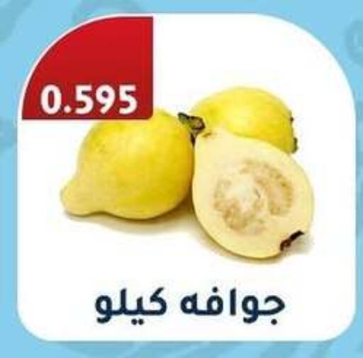  Guava  in Al Fahaheel Co - Op Society in Kuwait - Jahra Governorate