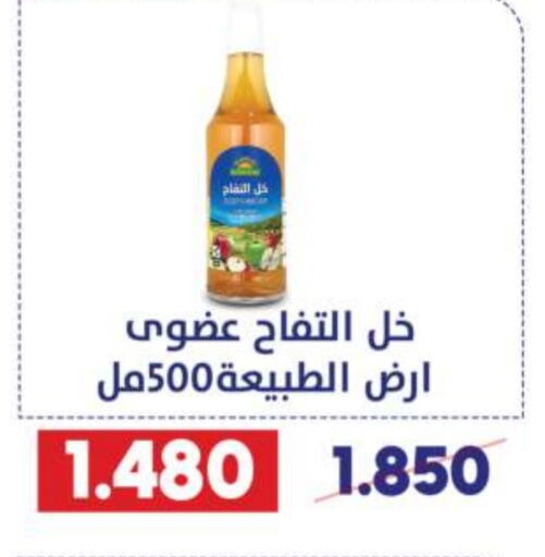  Vinegar  in Qadisiyah Cooperative Society in Kuwait - Kuwait City