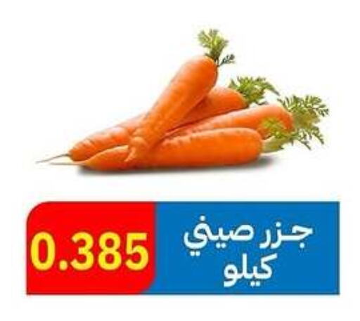  Carrot  in Sabah Al-Ahmad Cooperative Society in Kuwait - Jahra Governorate