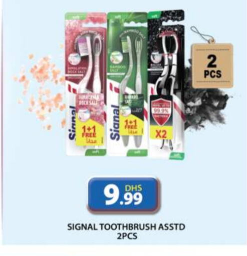 SIGNAL Toothbrush  in Grand Hyper Market in UAE - Dubai