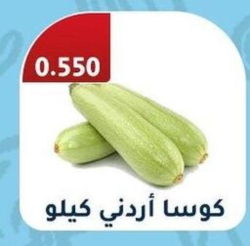  Zucchini  in Al Fahaheel Co - Op Society in Kuwait - Jahra Governorate