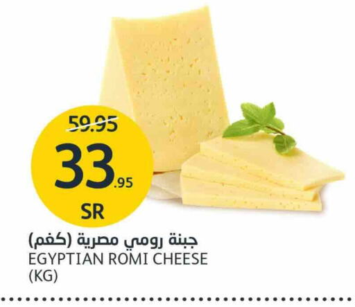  Roumy Cheese  in AlJazera Shopping Center in KSA, Saudi Arabia, Saudi - Riyadh