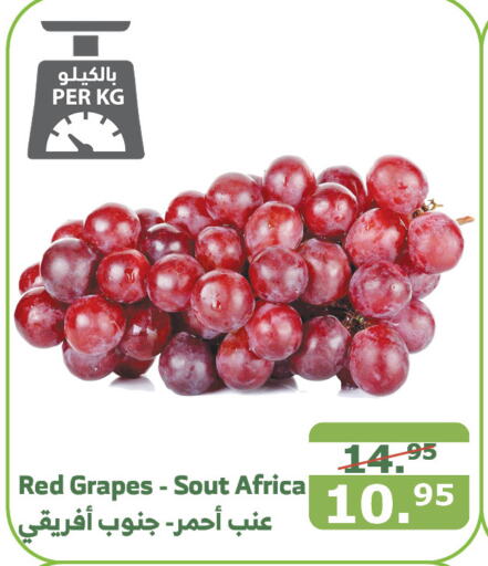  Grapes  in Al Raya in KSA, Saudi Arabia, Saudi - Jeddah