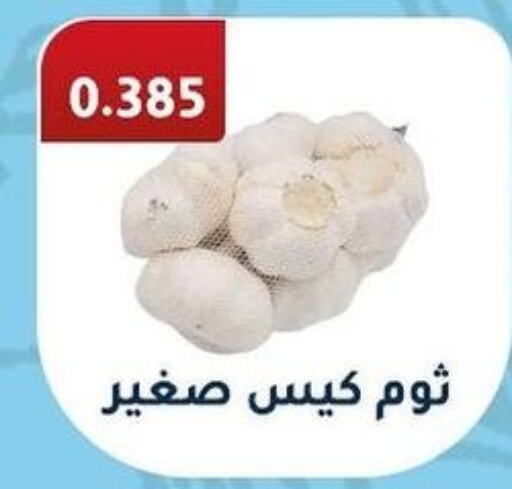 Garlic