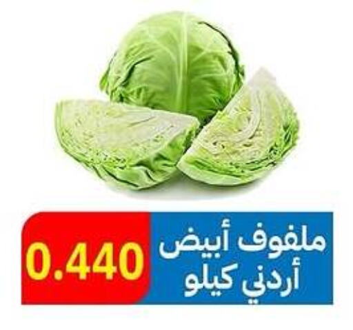  Cabbage  in Sabah Al-Ahmad Cooperative Society in Kuwait - Jahra Governorate