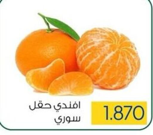  Orange  in Sabah Al Salem Co op in Kuwait - Kuwait City