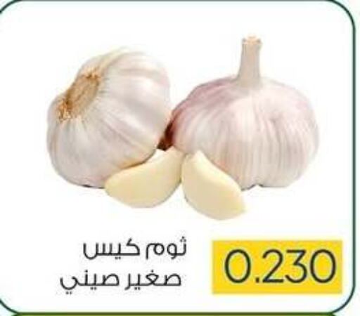  Garlic  in Sabah Al Salem Co op in Kuwait - Kuwait City