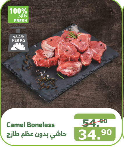  Camel meat  in Al Raya in KSA, Saudi Arabia, Saudi - Jeddah