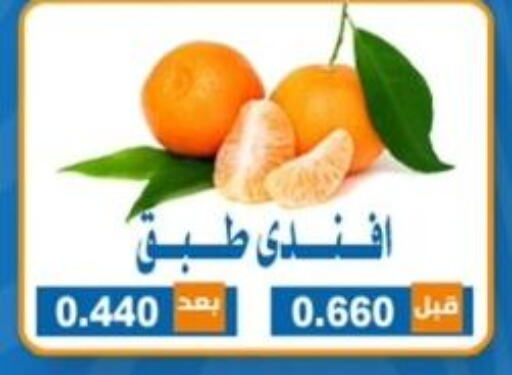  برتقال  in جمعية ضاحية الشهداء التعاونية in الكويت - محافظة الجهراء