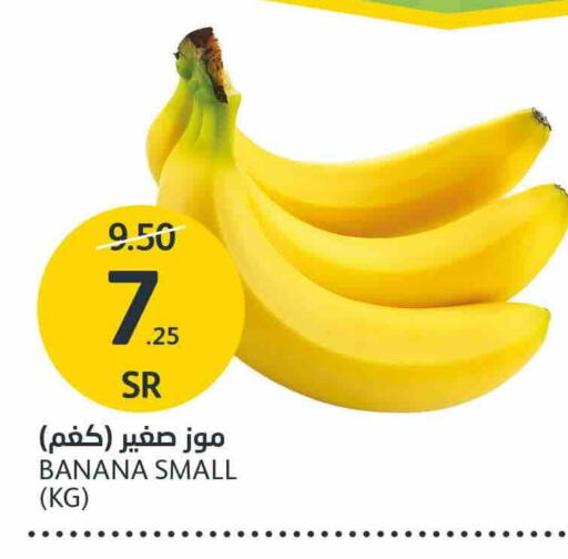  Banana  in AlJazera Shopping Center in KSA, Saudi Arabia, Saudi - Riyadh