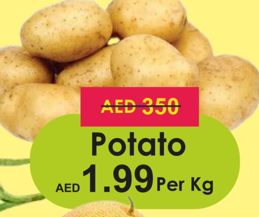  Potato  in Palm Centre LLC in UAE - Sharjah / Ajman