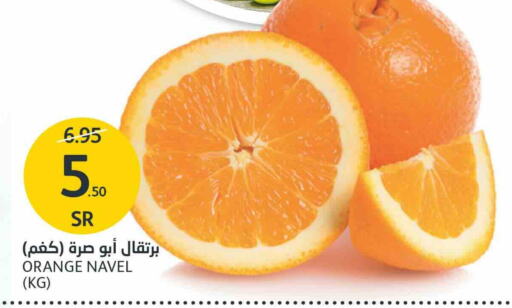  Orange  in AlJazera Shopping Center in KSA, Saudi Arabia, Saudi - Riyadh