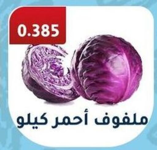  Cabbage  in Al Fahaheel Co - Op Society in Kuwait - Jahra Governorate