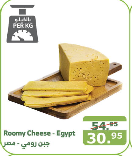  Roumy Cheese  in Al Raya in KSA, Saudi Arabia, Saudi - Medina