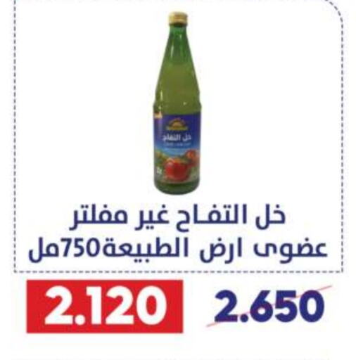  Vinegar  in Qadisiyah Cooperative Society in Kuwait - Kuwait City