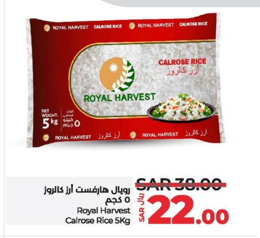  Calrose Rice  in LULU Hypermarket in KSA, Saudi Arabia, Saudi - Jubail