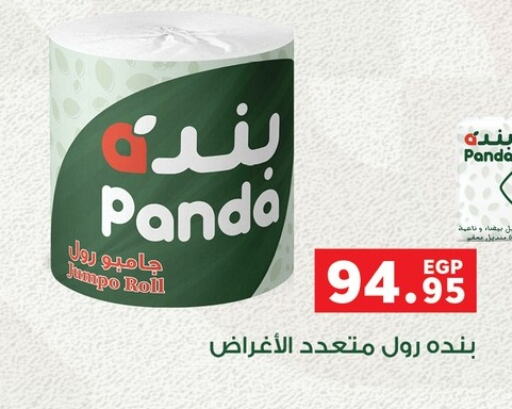    in Panda  in Egypt - Cairo