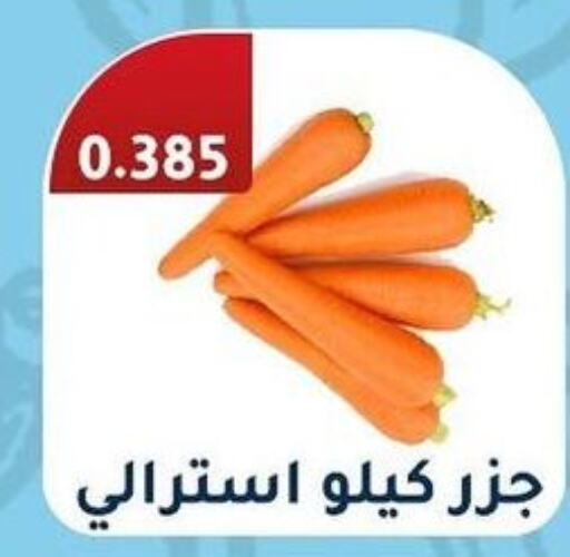  Carrot  in Al Fahaheel Co - Op Society in Kuwait - Jahra Governorate