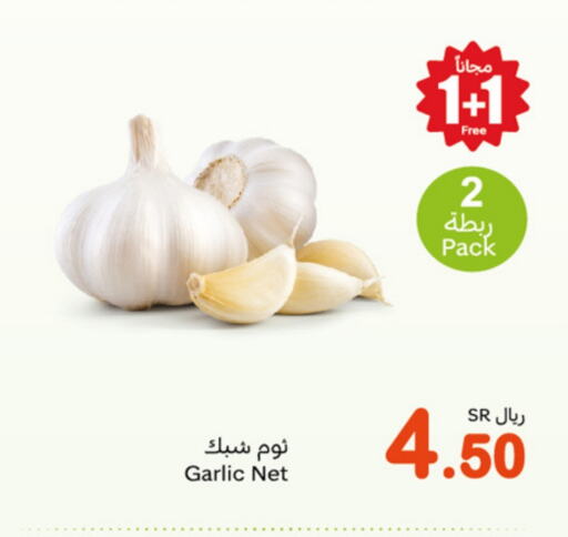 Garlic