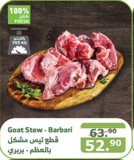  Mutton / Lamb  in Al Raya in KSA, Saudi Arabia, Saudi - Medina