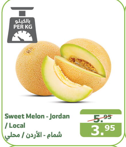  Sweet melon  in Al Raya in KSA, Saudi Arabia, Saudi - Al Bahah