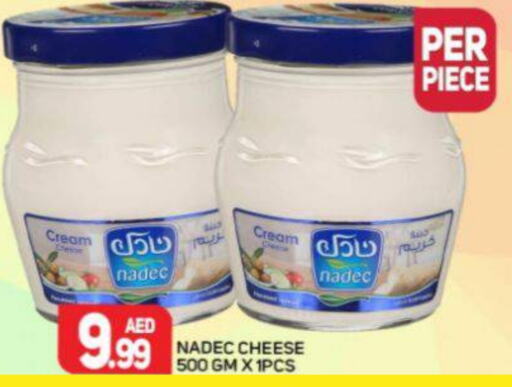 NADEC Cream Cheese  in Palm Centre LLC in UAE - Sharjah / Ajman