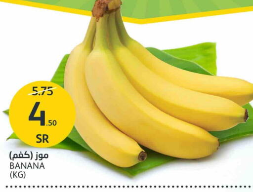  Banana  in AlJazera Shopping Center in KSA, Saudi Arabia, Saudi - Riyadh