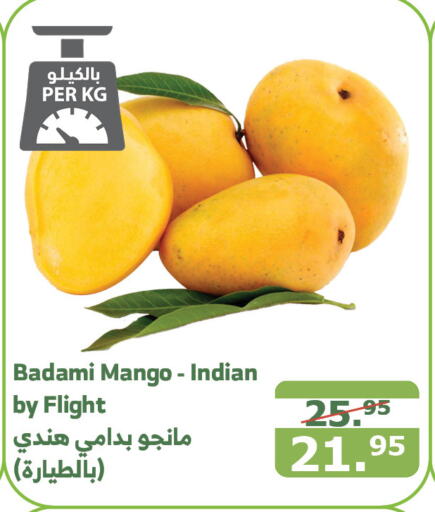 Mango Mango  in Al Raya in KSA, Saudi Arabia, Saudi - Mecca