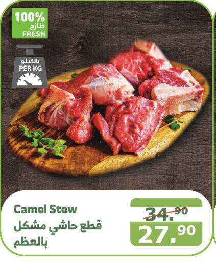  Camel meat  in Al Raya in KSA, Saudi Arabia, Saudi - Jeddah