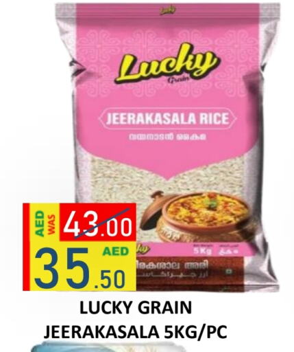  Jeerakasala Rice  in ROYAL GULF HYPERMARKET LLC in UAE - Abu Dhabi