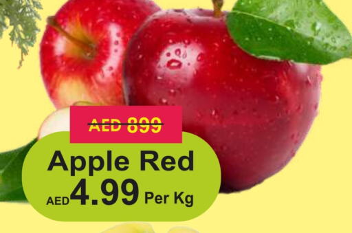  Apples  in Palm Centre LLC in UAE - Sharjah / Ajman