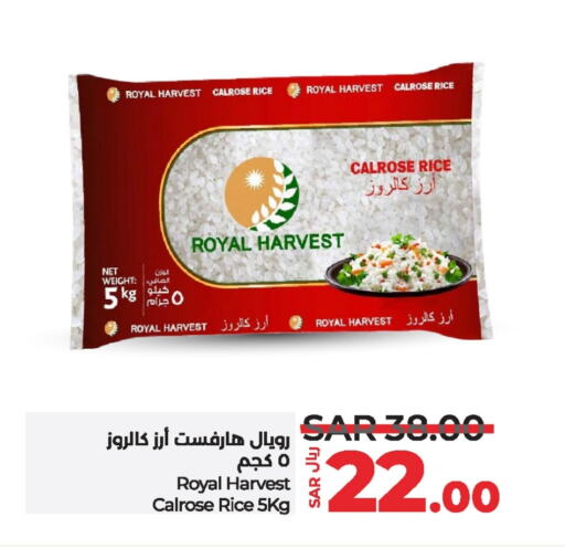  Calrose Rice  in LULU Hypermarket in KSA, Saudi Arabia, Saudi - Jubail