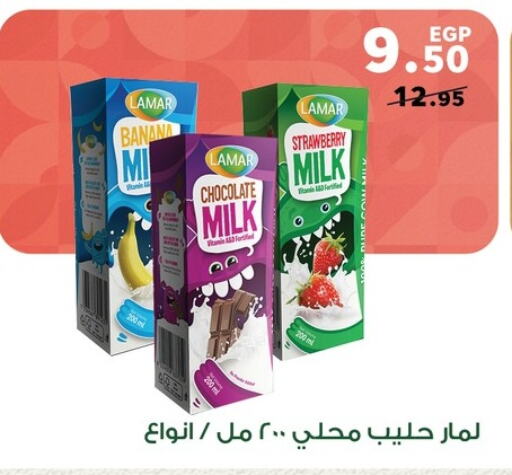  Flavoured Milk  in Panda  in Egypt - Cairo